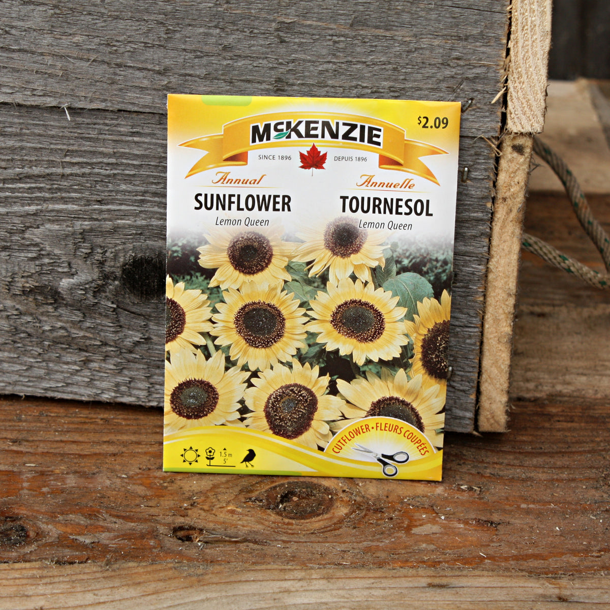 Tournesol Lemon Queen