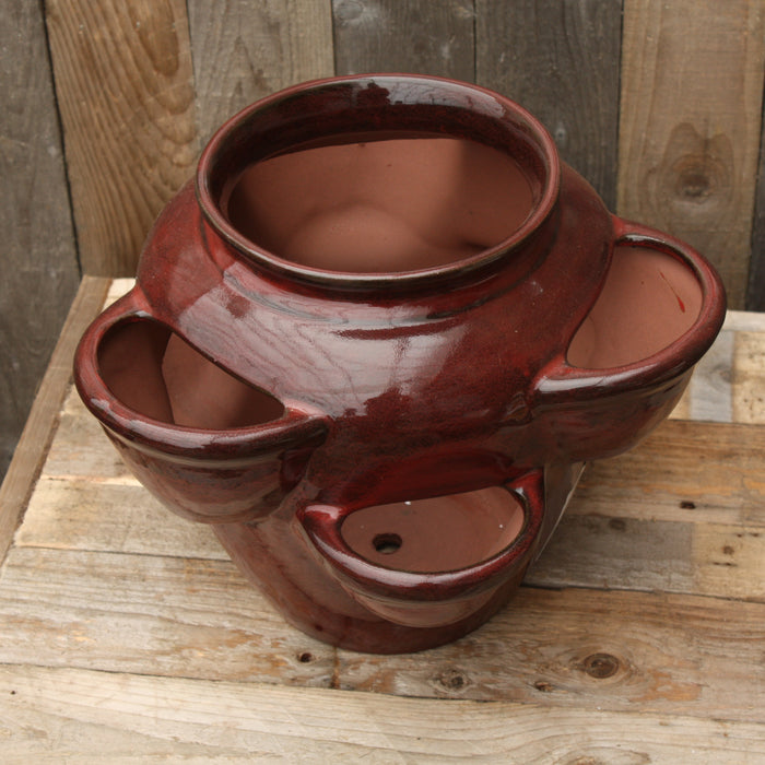 Pot à fines herbes en céramique