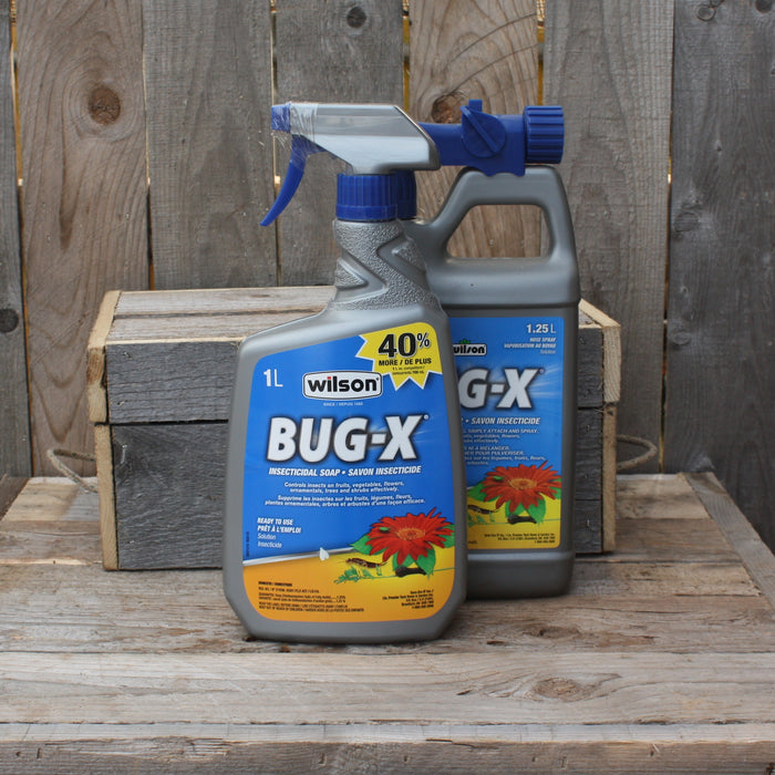 Savon insecticide - Bug-X