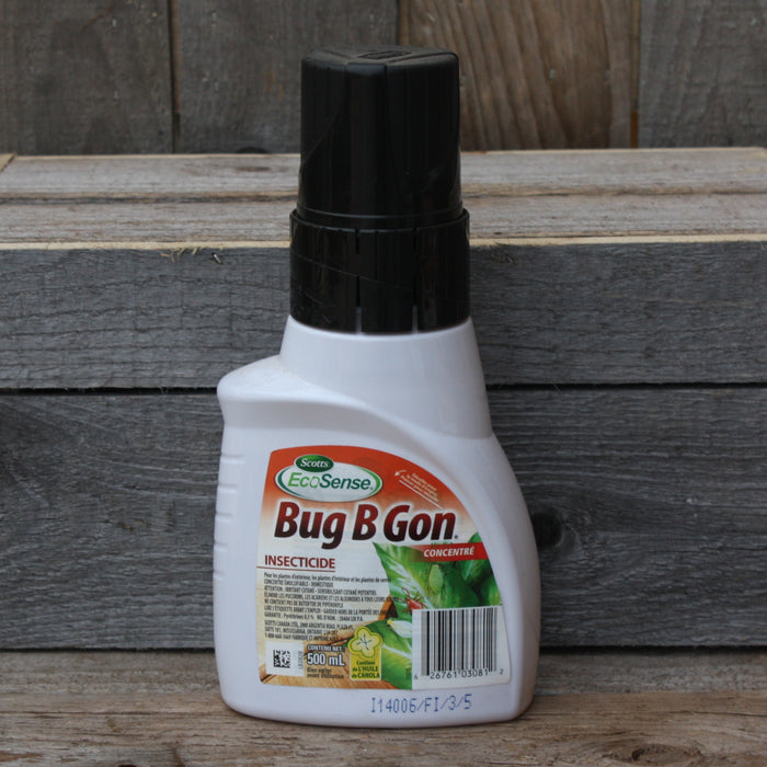 Insecticide - Bug BGON